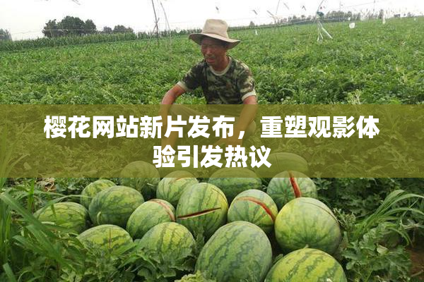 樱花网站新片发布，重塑观影体验引发热议