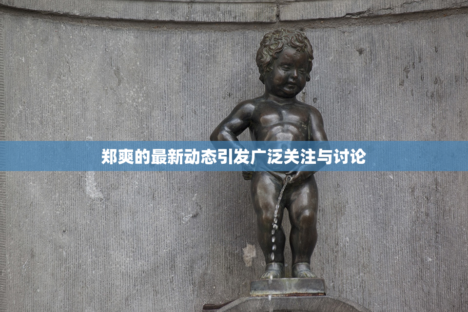 郑爽的最新动态引发广泛关注与讨论