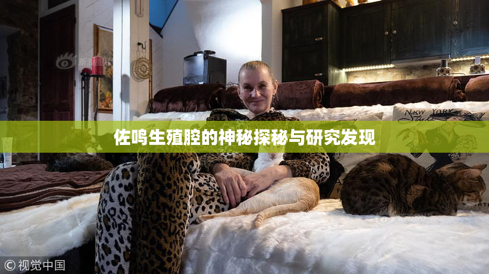 佐鸣生殖腔的神秘探秘与研究发现
