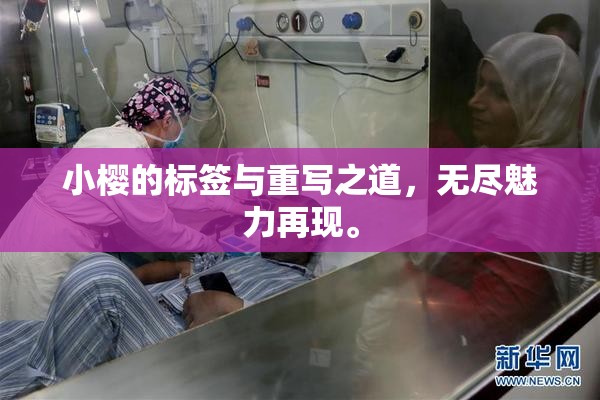 小樱的标签与重写之道，无尽魅力再现。