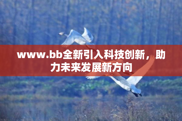 www.bb全新引入科技创新，助力未来发展新方向