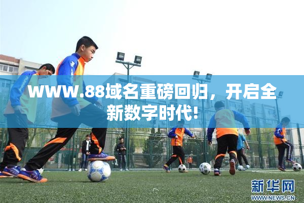 WWW.88域名重磅回归，开启全新数字时代!