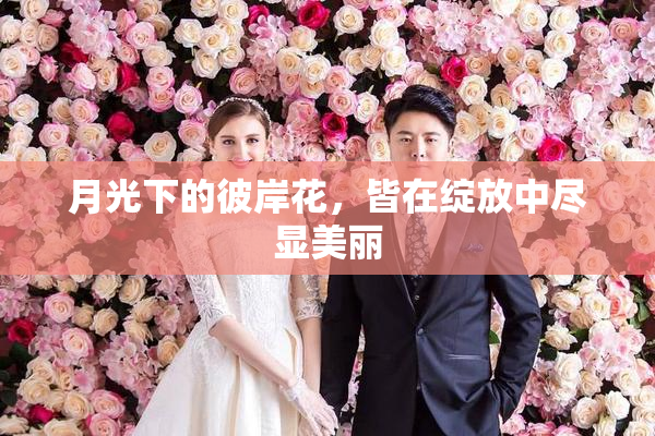 月光下的彼岸花，皆在绽放中尽显美丽