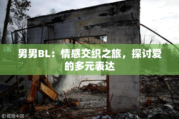 男男BL：情感交织之旅，探讨爱的多元表达