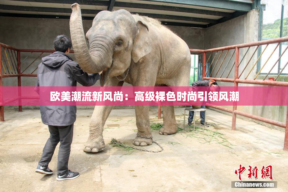 欧美潮流新风尚：高级裸色时尚引领风潮