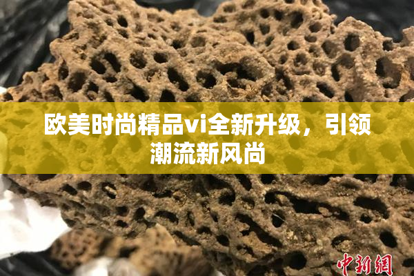 欧美时尚精品vi全新升级，引领潮流新风尚