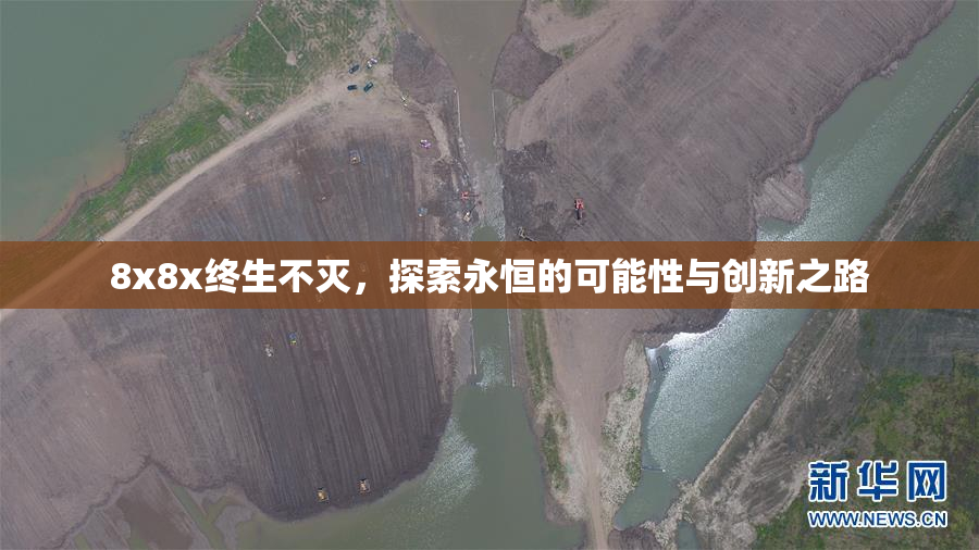 8x8x终生不灭，探索永恒的可能性与创新之路