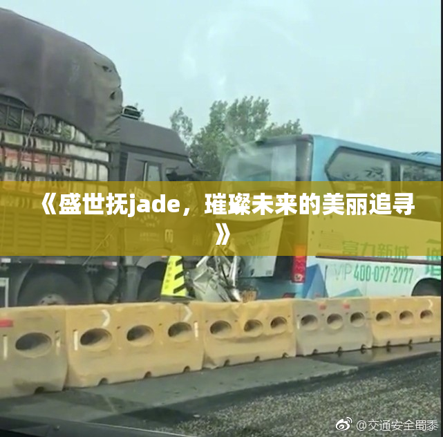 《盛世抚jade，璀璨未来的美丽追寻》