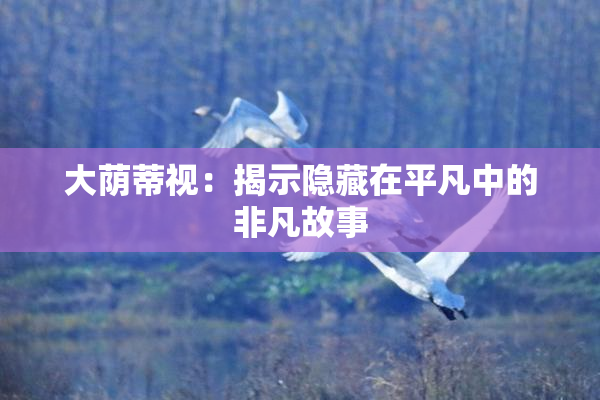 大荫蒂视：揭示隐藏在平凡中的非凡故事