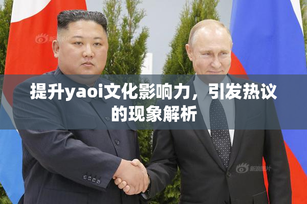提升yaoi文化影响力，引发热议的现象解析