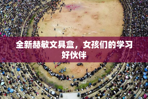 全新赫敏文具盒，女孩们的学习好伙伴