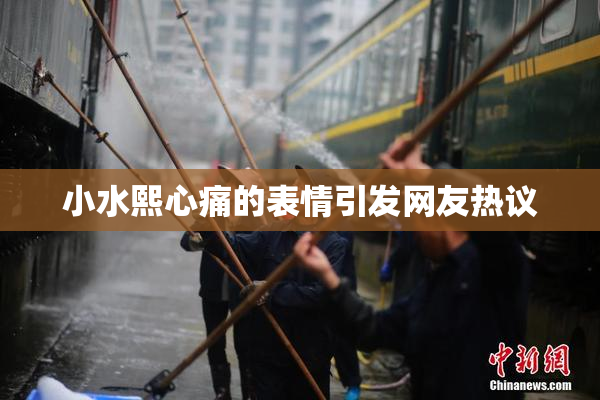 小水熙心痛的表情引发网友热议