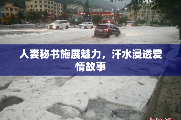 人妻秘书施展魅力，汗水浸透爱情故事
