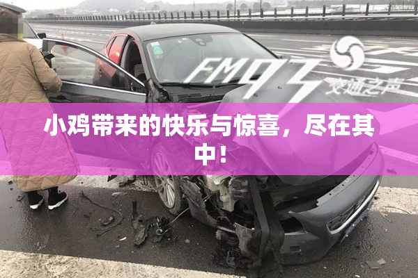 小鸡带来的快乐与惊喜，尽在其中！