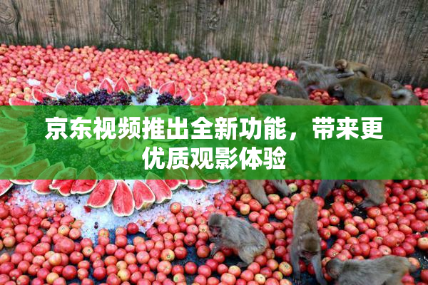 京东视频推出全新功能，带来更优质观影体验