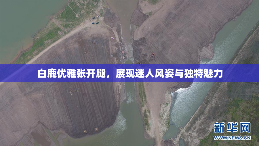 白鹿优雅张开腿，展现迷人风姿与独特魅力