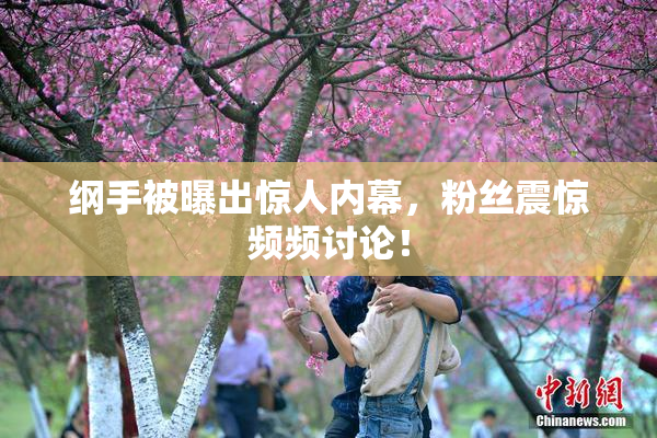 纲手被曝出惊人内幕，粉丝震惊频频讨论！