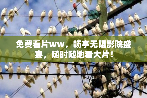 免费看片ww，畅享无阻影院盛宴，随时随地看大片！