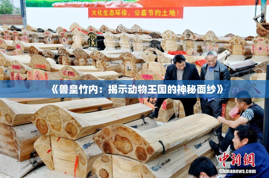 《兽皇竹内：揭示动物王国的神秘面纱》
