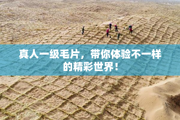 真人一级毛片，带你体验不一样的精彩世界！