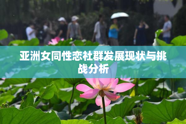 亚洲女同性恋社群发展现状与挑战分析