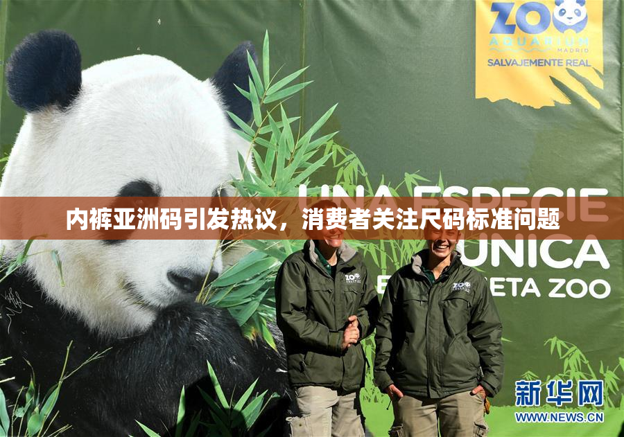 内裤亚洲码引发热议，消费者关注尺码标准问题