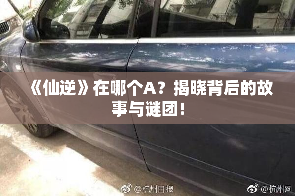 《仙逆》在哪个A？揭晓背后的故事与谜团！