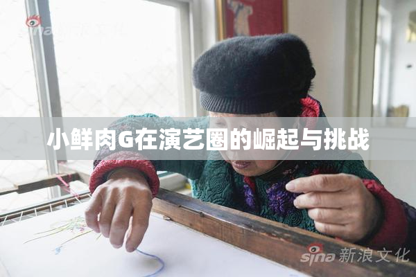 小鲜肉G在演艺圈的崛起与挑战