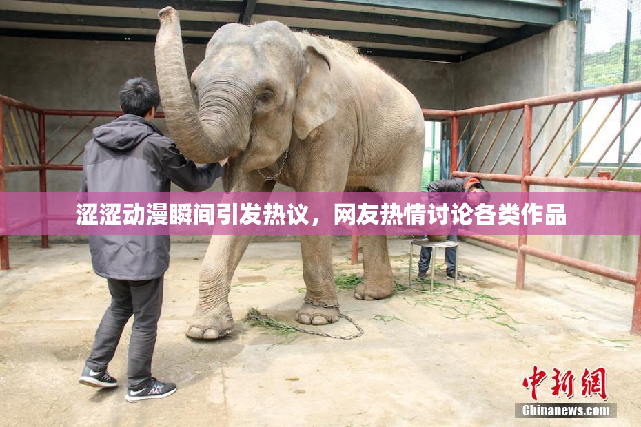 涩涩动漫瞬间引发热议，网友热情讨论各类作品