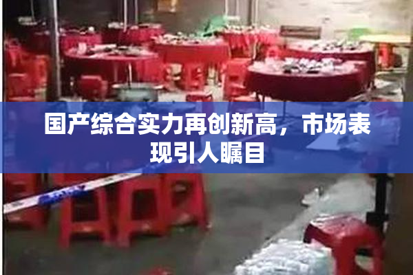 国产综合实力再创新高，市场表现引人瞩目