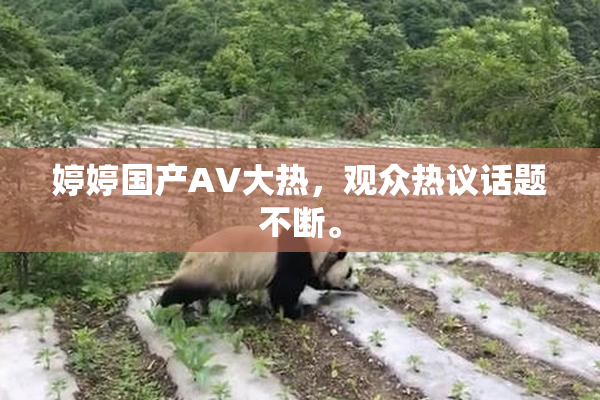婷婷国产AV大热，观众热议话题不断。
