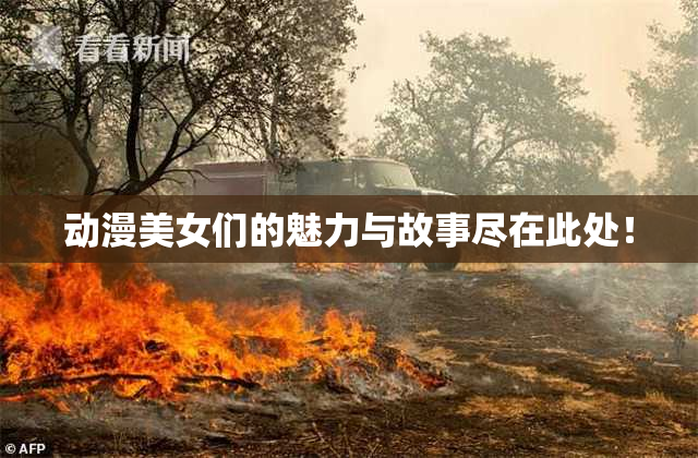 动漫美女们的魅力与故事尽在此处！