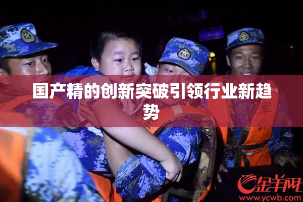 国产精的创新突破引领行业新趋势