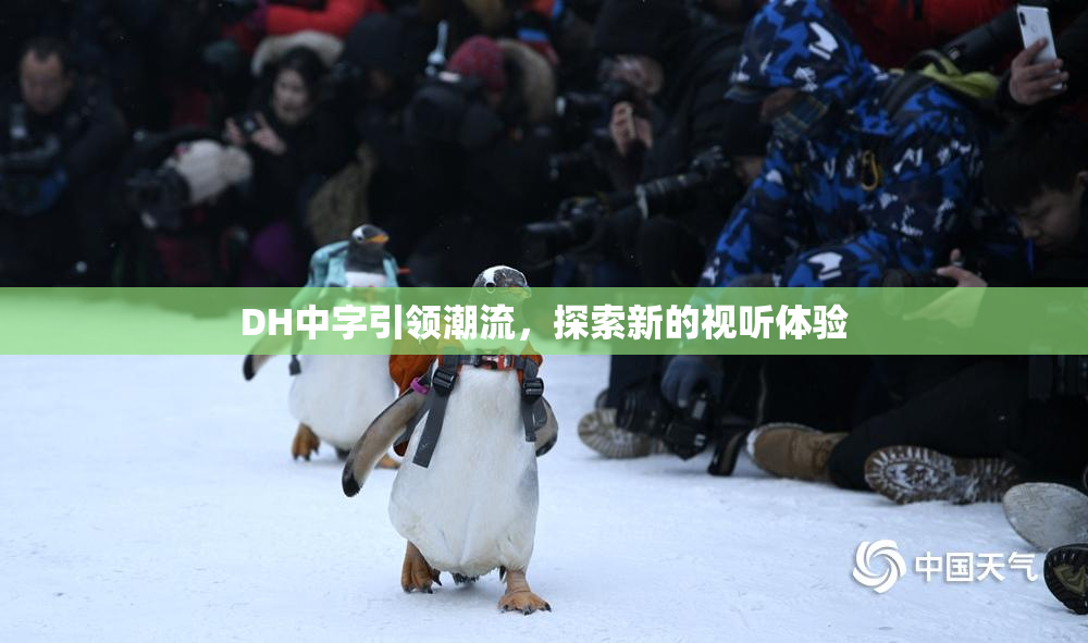 DH中字引领潮流，探索新的视听体验