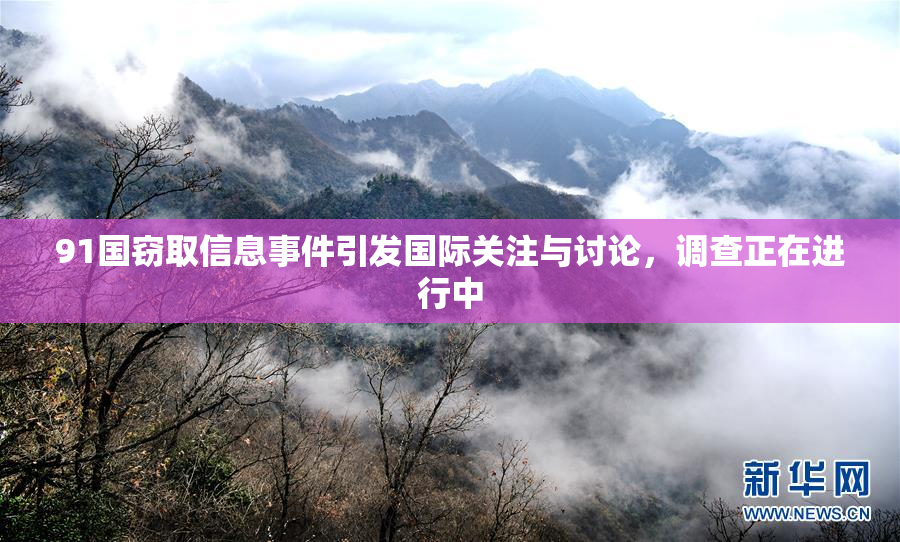 91国窃取信息事件引发国际关注与讨论，调查正在进行中