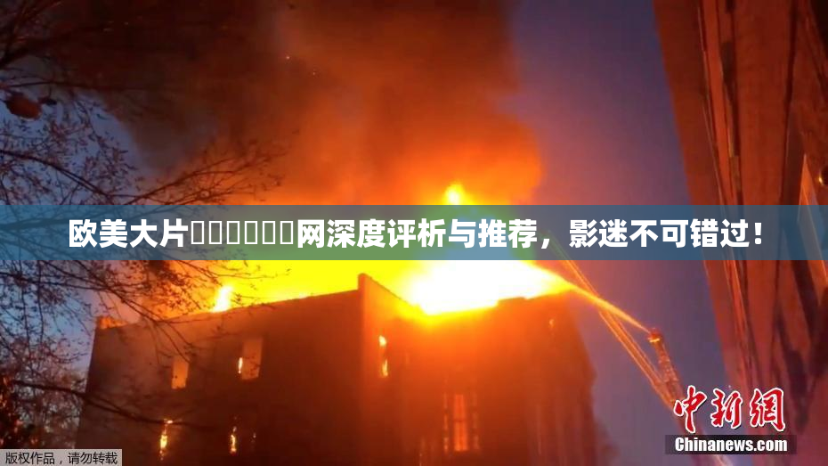 欧美大片❌‌❌‌❌‌网深度评析与推荐，影迷不可错过！