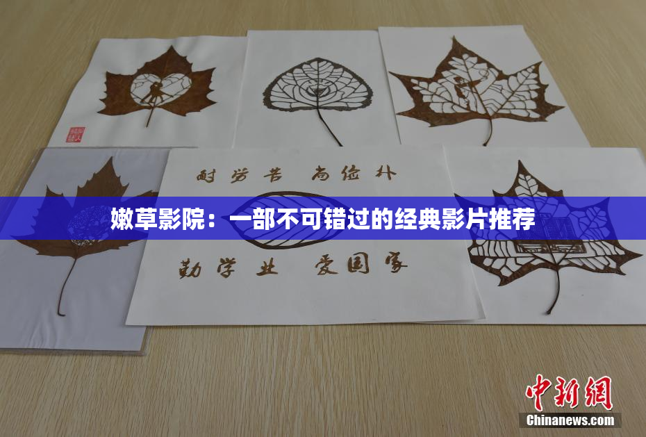 嫩草影院：一部不可错过的经典影片推荐