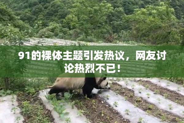 91的裸体主题引发热议，网友讨论热烈不已！