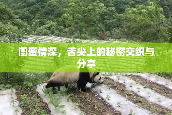 闺蜜情深，舌尖上的秘密交织与分享