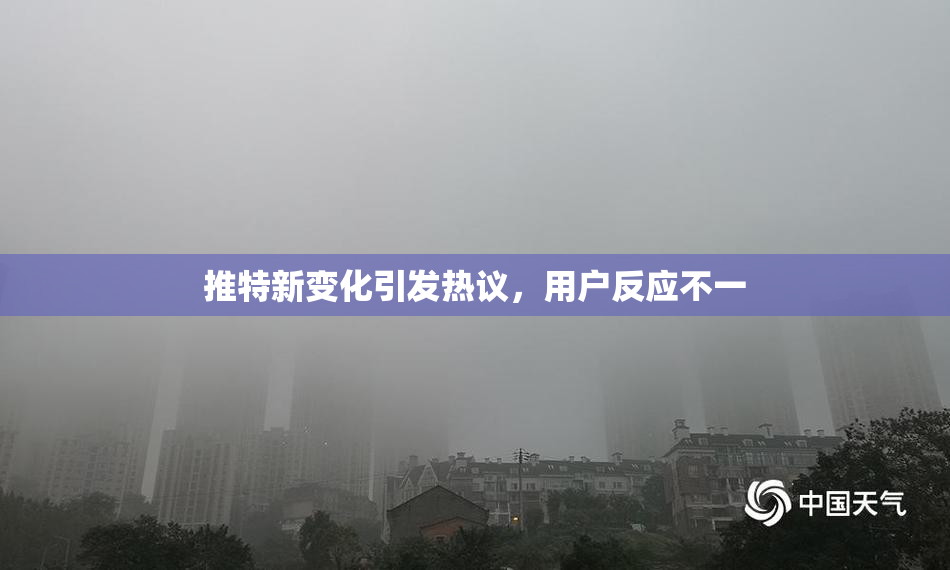 推特新变化引发热议，用户反应不一