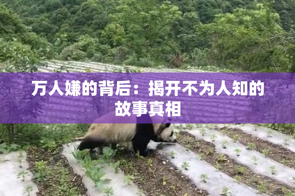 万人嫌的背后：揭开不为人知的故事真相