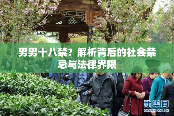 男男十八禁？解析背后的社会禁忌与法律界限