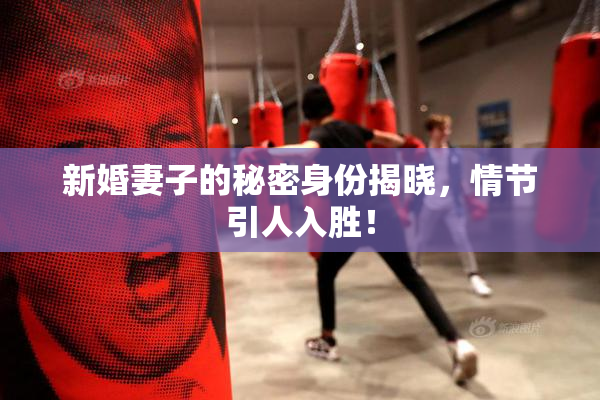 新婚妻子的秘密身份揭晓，情节引人入胜！