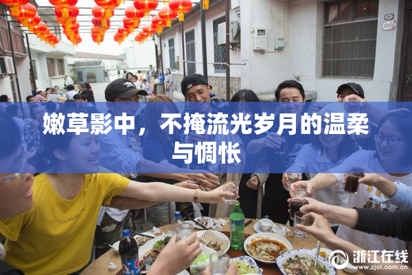 嫩草影中，不掩流光岁月的温柔与惆怅