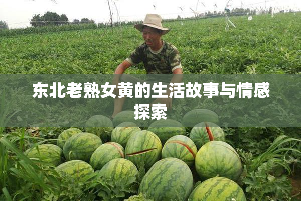 东北老熟女黄的生活故事与情感探索