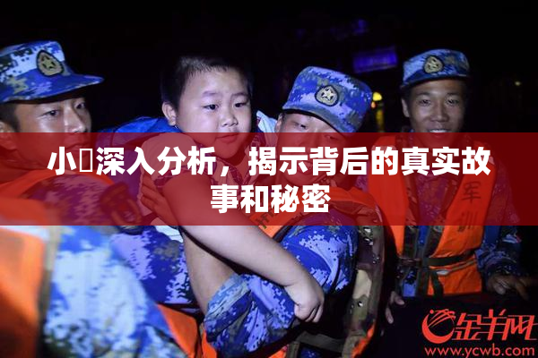 小泬深入分析，揭示背后的真实故事和秘密