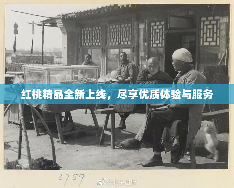 红桃精品全新上线，尽享优质体验与服务