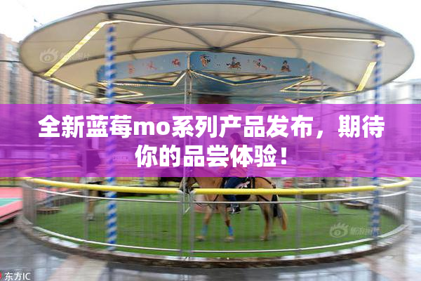 全新蓝莓mo系列产品发布，期待你的品尝体验！