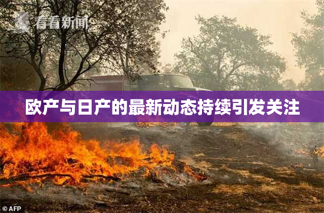 欧产与日产的最新动态持续引发关注