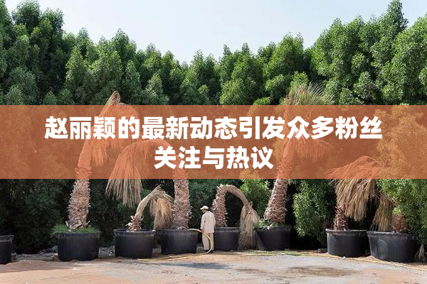 赵丽颖的最新动态引发众多粉丝关注与热议